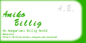 aniko billig business card